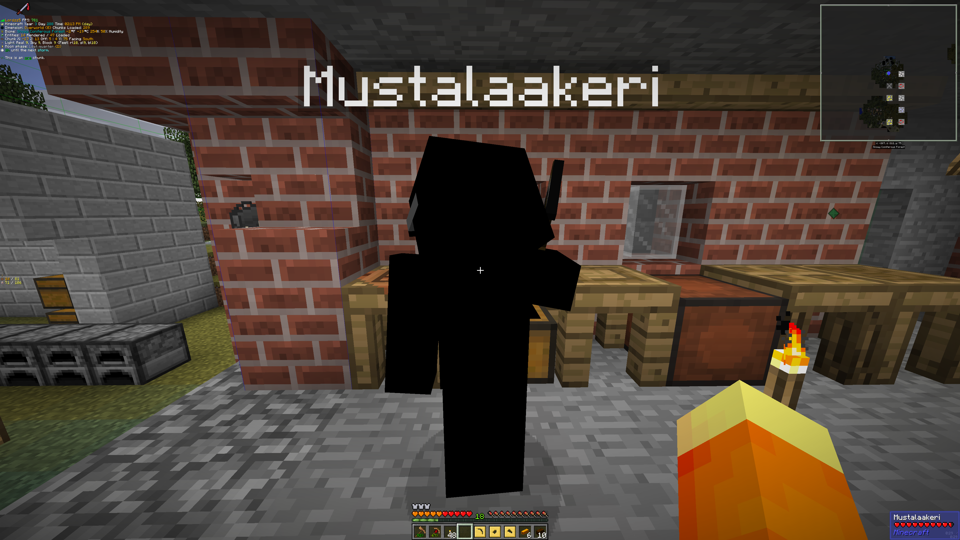 Back to the Stone age on my third GTNH server